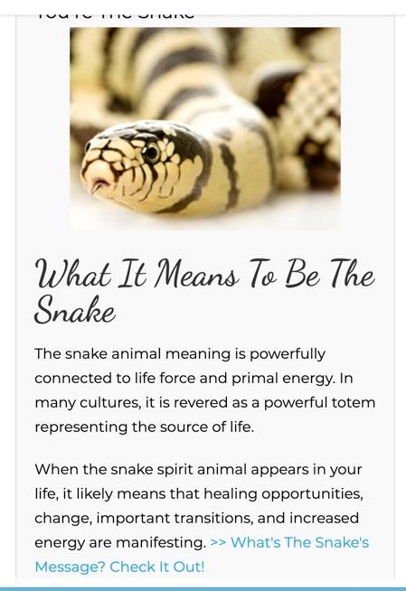 What is your spirit animal?