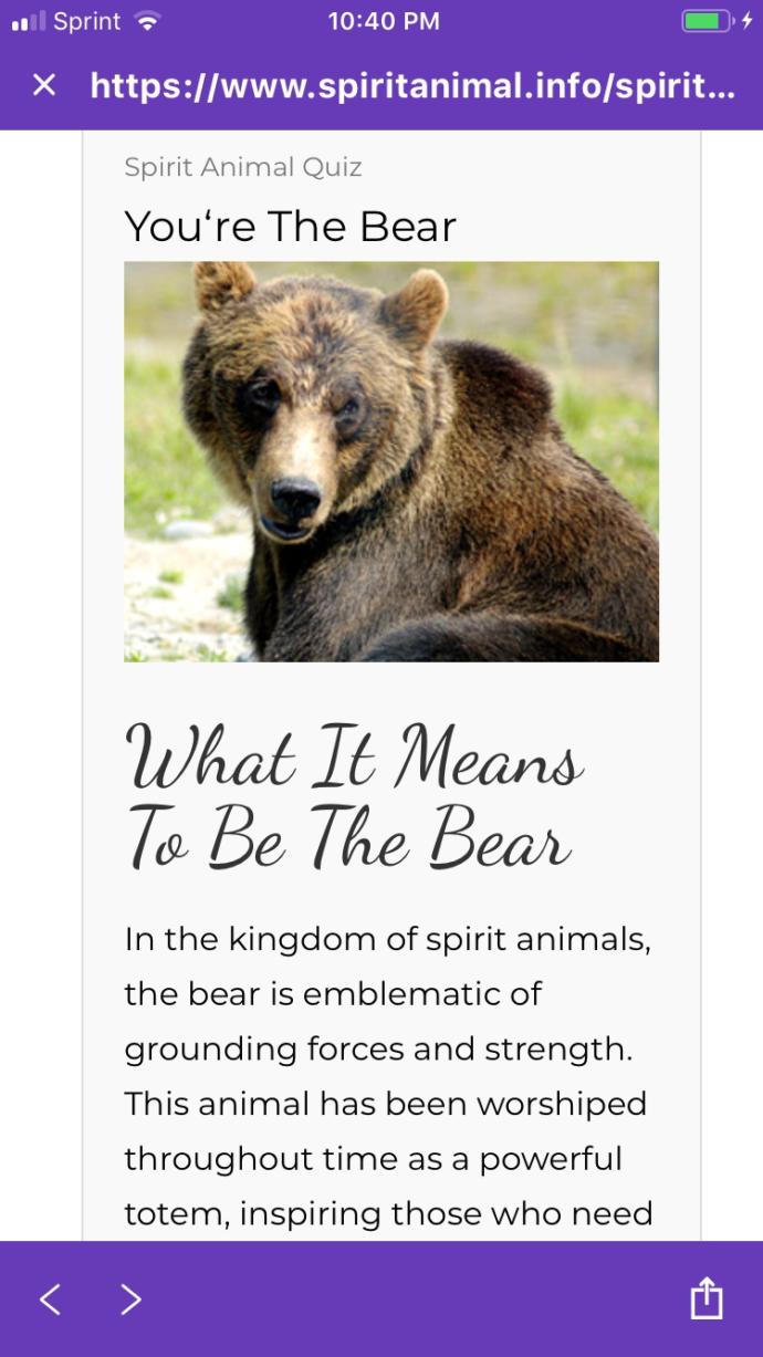 What is your spirit animal?