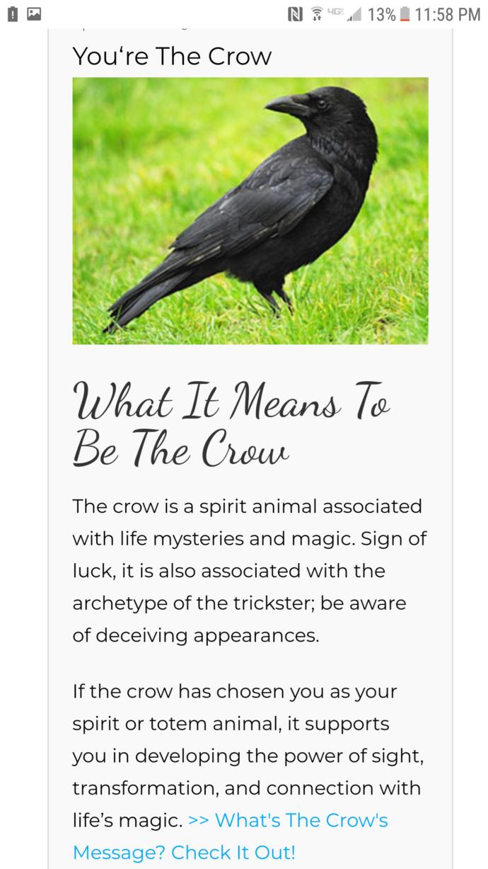 What is your spirit animal?