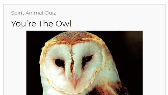 What is your spirit animal?