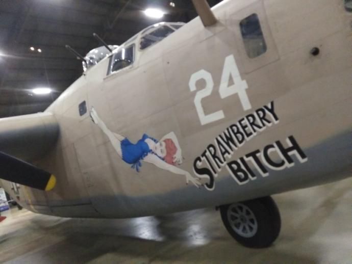What do you think of the name of this plane?