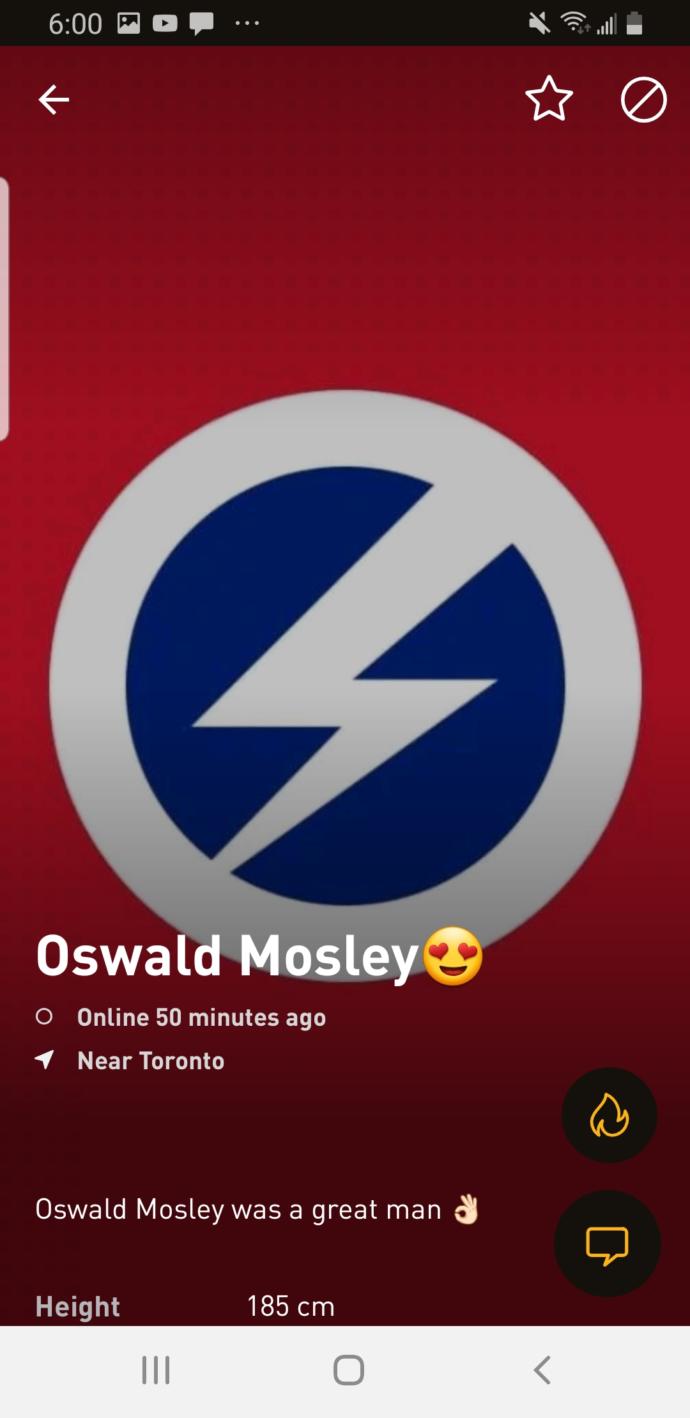 Is this an example of a good dating profile?
