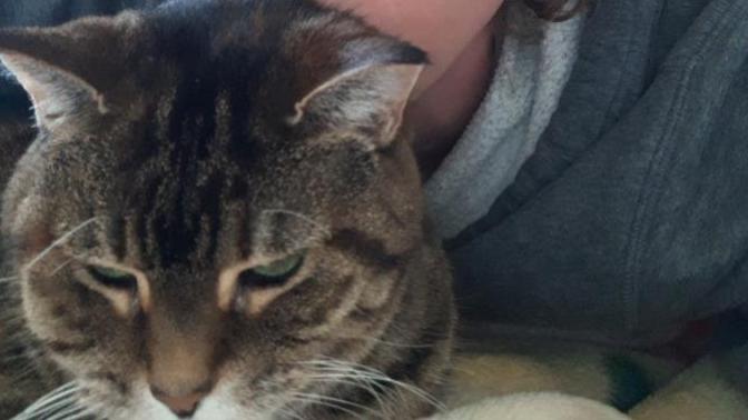 Post a selfie of your pet, I wanna see how great of a couple you two make? Post a selfie of your pet, I wanna see how great of a couple you two make?