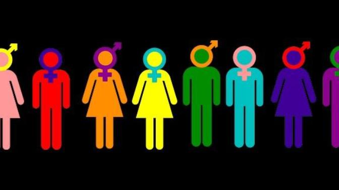 How many genders are there? How many genders are there?