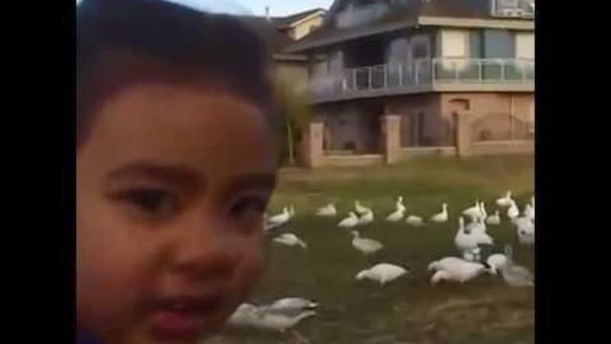 Guys, what do you think of girls who like memes and sometimes make dirty jokes? Guys, what do you think of girls who like memes and sometimes make dirty jokes?
