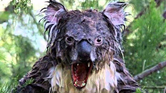 What Animal Is The Most Bad Ass In Your Opinion?
