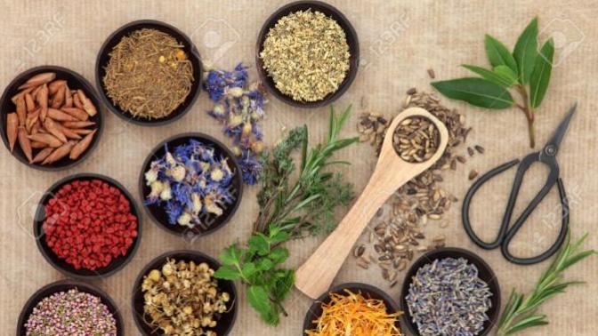 Modern medicine or homeopathic medicine?