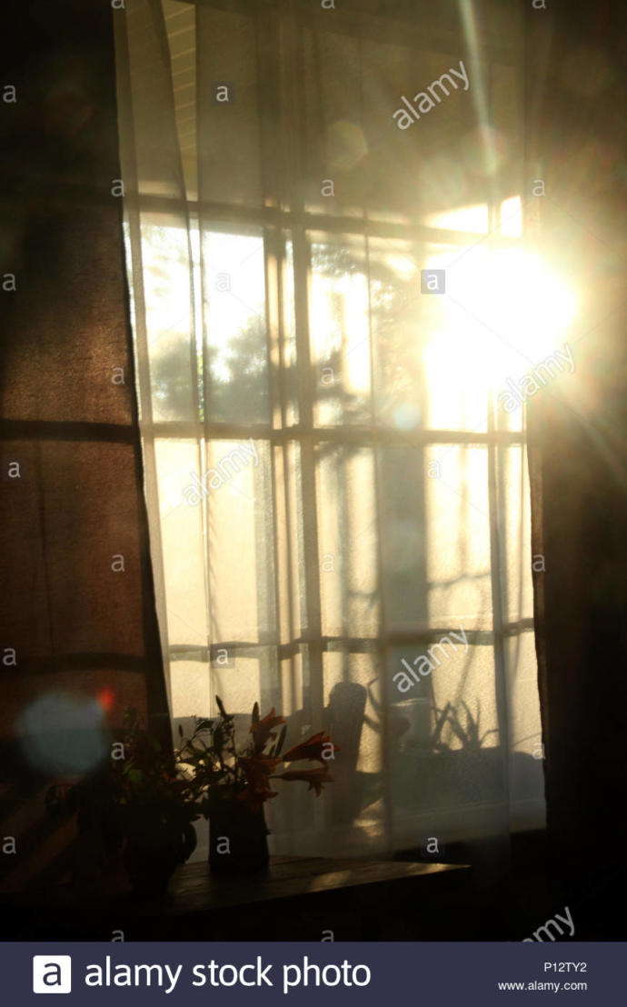 Dont you just sometimes look through the sunrays of your window room watching the clouds move thinking about life?