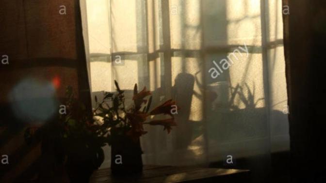 Don't you just sometimes look through the sunrays of your window room watching the clouds move thinking about life?
