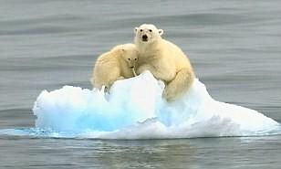 Do you believe in global warming?