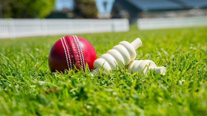 What sport is more popular : Cricket or baseball?