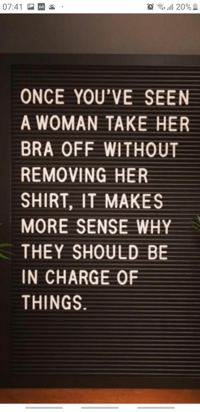 What do you prefer are the best breast on a female? and guys what do you think about a bra, how good are you to hook them up for your partner?