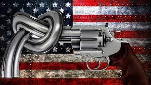 What is your opinion on gun ownership within the United States?