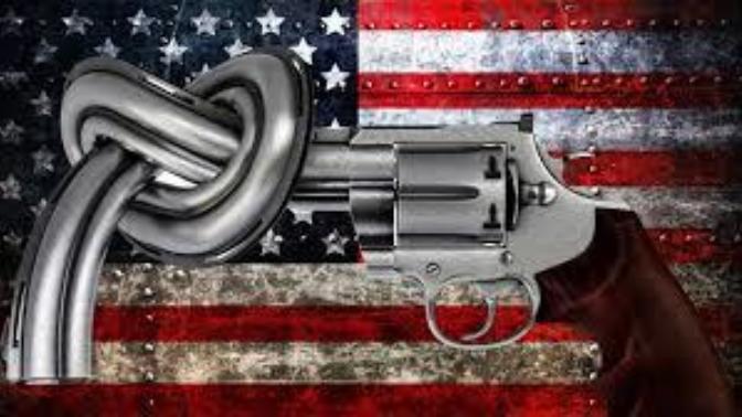 What is your opinion on gun ownership within the United States?