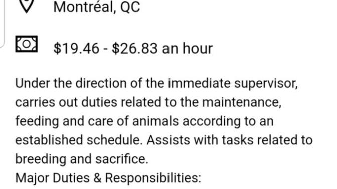 Should I apply for a job if it includes animal sacrifice?