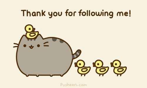 Why do you choose to follow people?πΆππ«ππ¬π²?