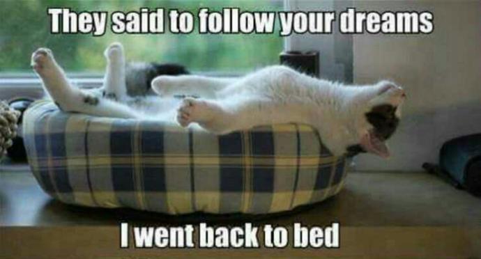 Why do you choose to follow people?πΆππ«ππ¬π²?