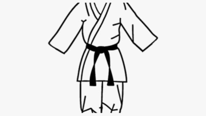 Does anyone know anything about Kyokushu Karate?