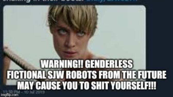 Was Terminator Dark Fate a left wing SJW propaganda piece that went too far?