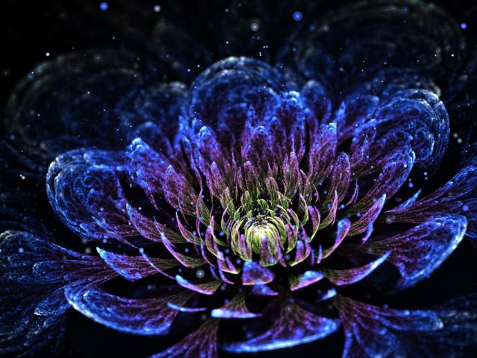 Pin by Bugg Cerise Wallpaper Fractal Art