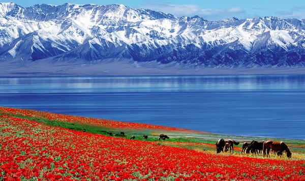 Would you like to visit the autonomous Chinese region of Xinjiang?