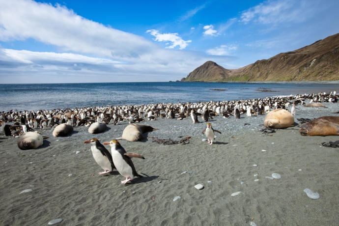 Would you like to visit the Australian island of Tasmania?