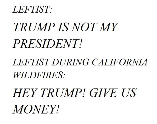 Should there be a section of GAG called Leftists Behavior?