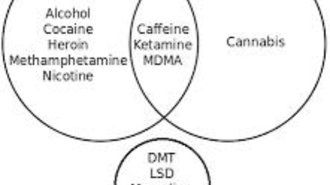 Is using drugs degenerate?