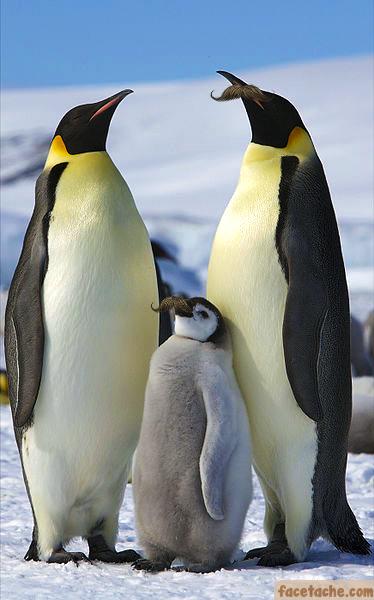 Are you taller than your parents?