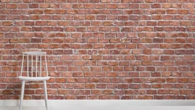 Are women hitting the wall a revenge fantasy made by incels?