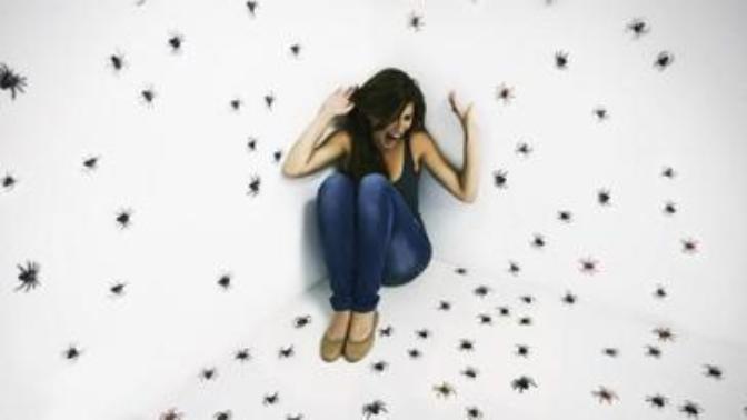 What are your phobias?
