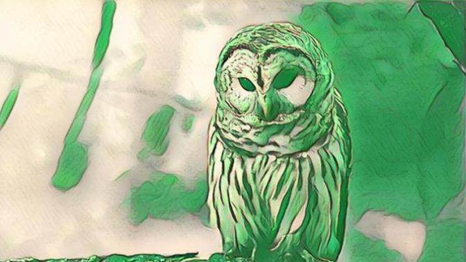 What is your spirit animal?