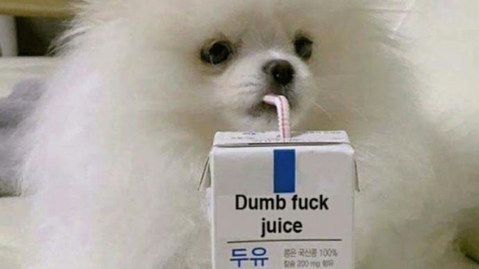 Is it just me or people on here are always asking moronic questions?👀?