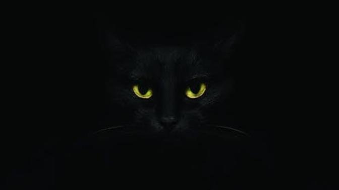 Why are educated people superstitious?