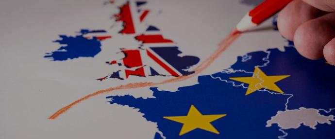 If you could resolve Brexit in one action, what would it be?