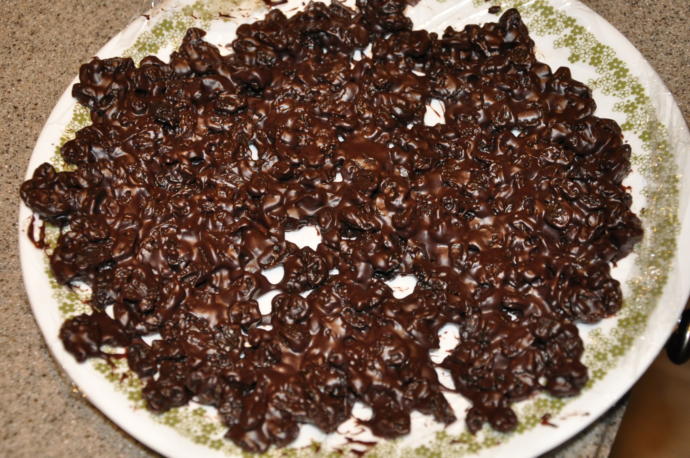 Has anyone ever given you something to eat and then told you that something was in it that you didn't like? ... how about chocolate covered insects?