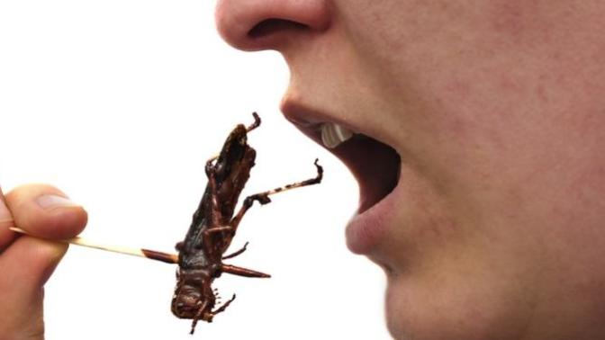 Has anyone ever given you something to eat and then told you that something was in it that you didn't like? ... how about chocolate covered insects?