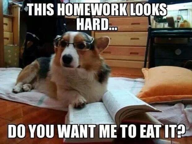 What are the funniest memes you have & save on your phone?