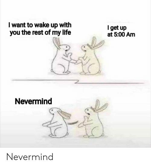 What are the funniest memes you have & save on your phone?