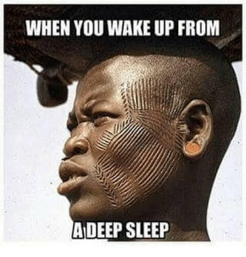 What are the funniest memes you have & save on your phone?