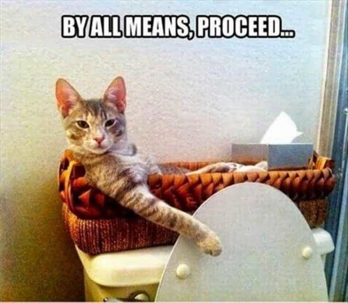 What are the funniest memes you have & save on your phone?