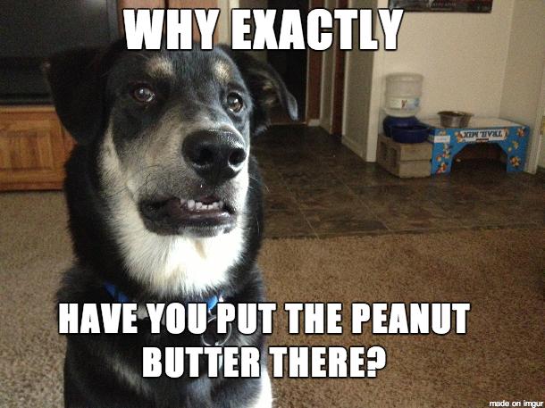 What are the funniest memes you have & save on your phone?