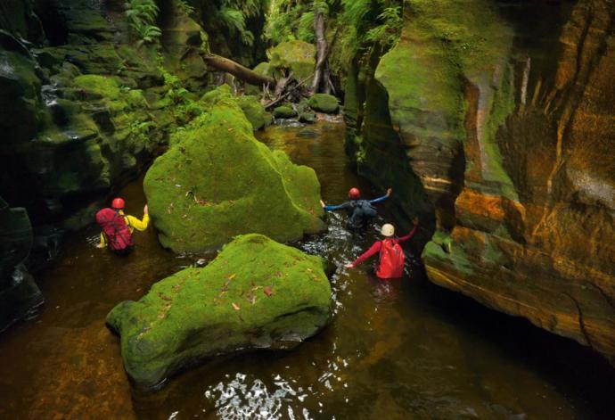 Claustral Canyon, Blue Mountains of New South Wales, Australia
