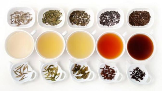 Tea lovers, what is your favorite type of tea?