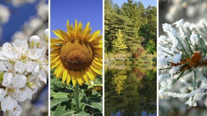 Which months do you like most: winter, summer, autumn, or spring?