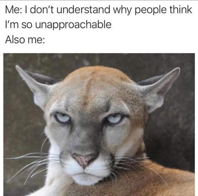 Are you approachable?