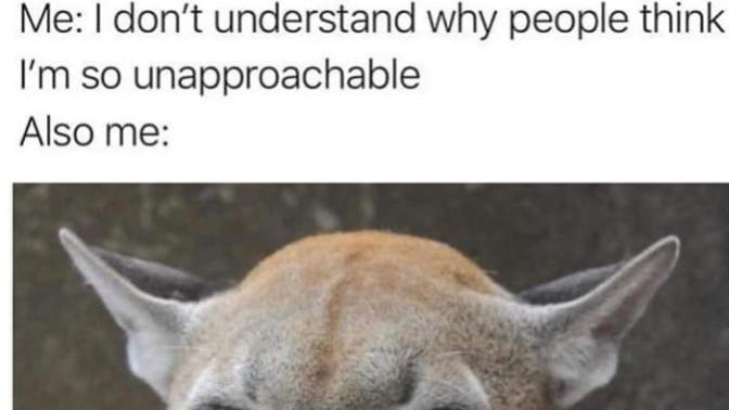 Are you approachable?