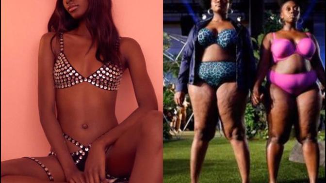 Why is this generation tearing down beautiful skinny/fit girls to bring up ugly fat/overweight girls?