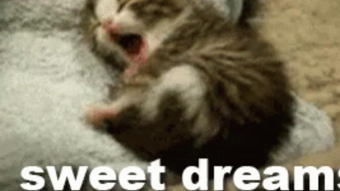 What were your dreams like last night?