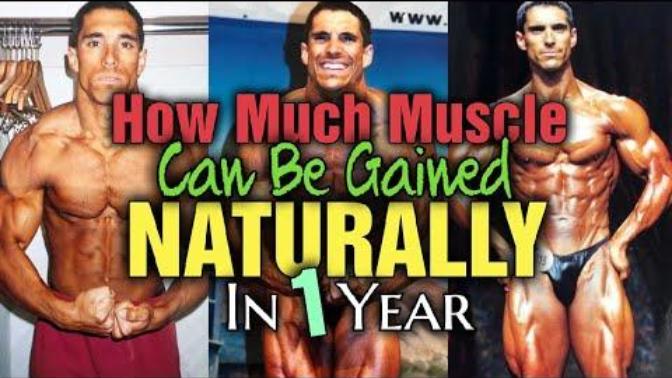 How much muscle can a woman really gain in her first year of weight training?
